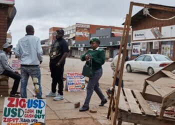 Zimbabwe Arrests 95 in Crackdown on Antigovernment Protests