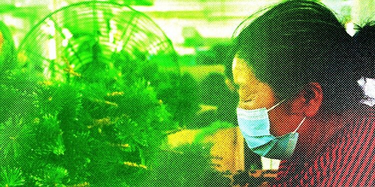 A Tariff Standoff With China, Power Outages, and the End of Christmas