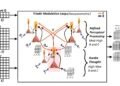 A new transformer architecture emulates imagination and higher-level human mental states