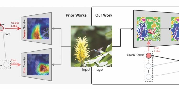 AI model classifies images with a hierarchical tree from broad to specific