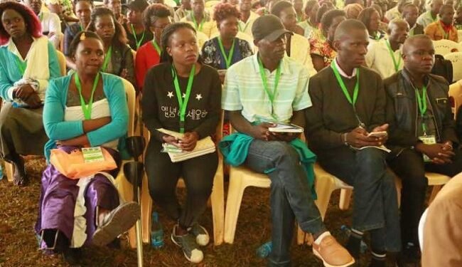 COP30: Kenyan youth commit to forest conservation, green economy – EnviroNews