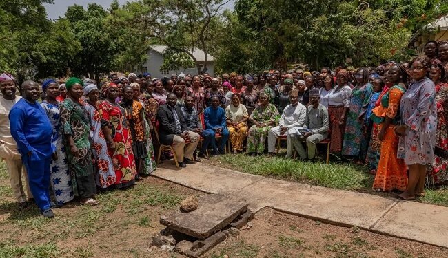 Climate change: Plateau to plant 200,000 economic trees – EnviroNews