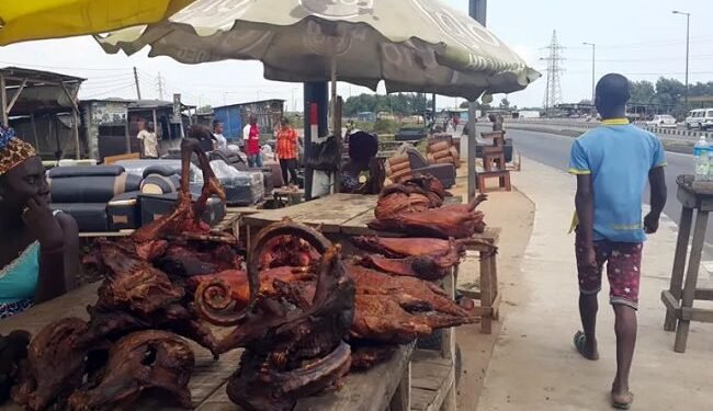 Discard outdated wildlife laws, enact new protections for Nigeria’s biodiversity – EnviroNews