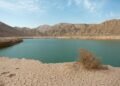 Five bids received for Wadi Al Maantiya recharge dam project in Oman