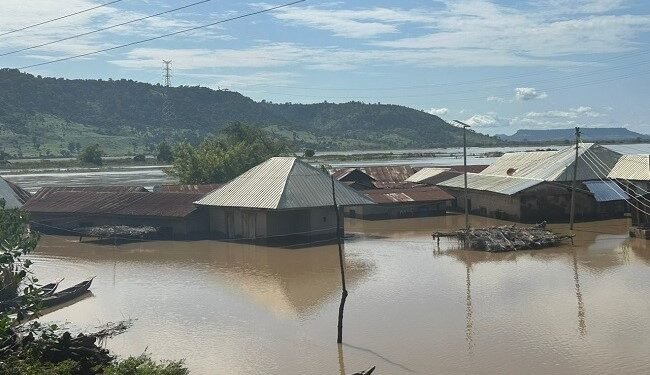Govt advocates urgent flood action – EnviroNews