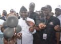 Govt unveils CNG buses, tricycles, conversion services for varsities – EnviroNews