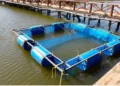 Harnessing Lake Victoria’s Blue Economy: Pathways to Sustainable Growth and Innovation