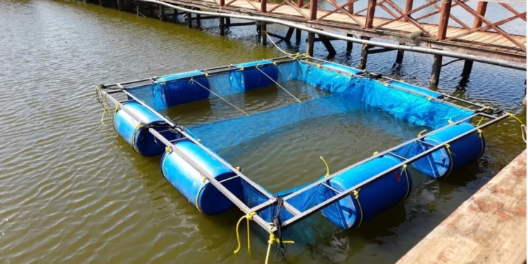 Harnessing Lake Victoria’s Blue Economy: Pathways to Sustainable Growth and Innovation