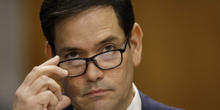 In Trump’s War on Education, International Students Are the Pawns