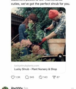 Instagram Threads is getting video ads