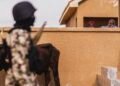 Jihadists Kill Five Multinational Troops in Nigeria Base Raid: Sources