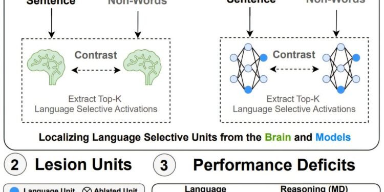 Key units in AI models mirror human brain’s language system