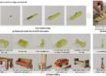 LegoGPT can design stable structures using standard LEGOs from text prompts