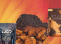 Mushroom Supplements Are the Biohackers’ Latest Fix (2025)