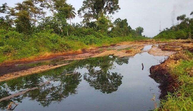 Renaissance confirms oil leak, shuts crude feed into facility – EnviroNews