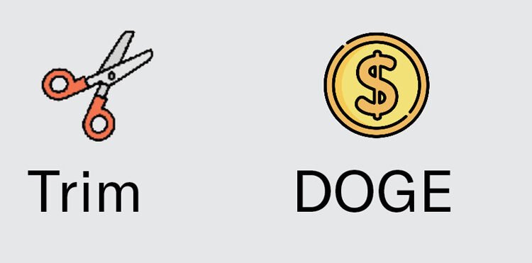 See 60 days of DOGE chaos