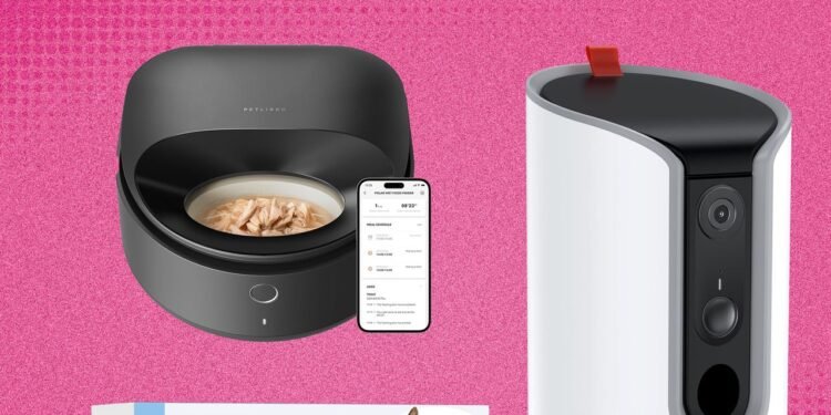 The 21 Best Early Amazon Pet Day Deals (2025)