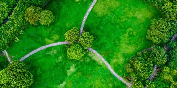 The Future of Opportunity Zones: Outlook for 2025 and Beyond