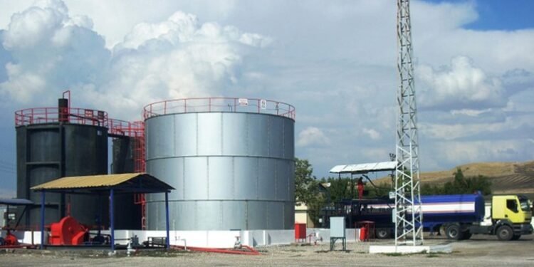 Top 5 African countries that produced the most oil in April 2025