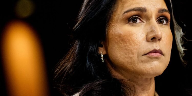 Tulsi Gabbard Reused the Same Weak Password on Multiple Accounts for Years
