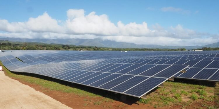 Use taxes to achieve renewable energy, CSO tasks govt – EnviroNews