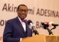 What’s next for Africa’s electricity projects as Adeshina, AfDB leader, tenure comes to an end?