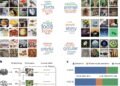 AI and humans see objects differently: Meaning versus visual features