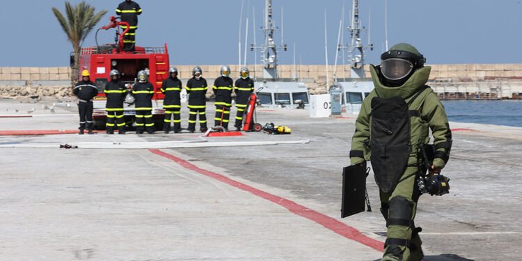 African Lion Sharpens Skills in Complex, Multidomain Operations