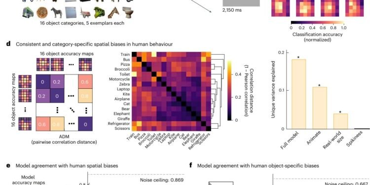 All-topographic neural networks more closely mimic the human visual system