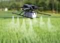 An AI solution for agri-processes