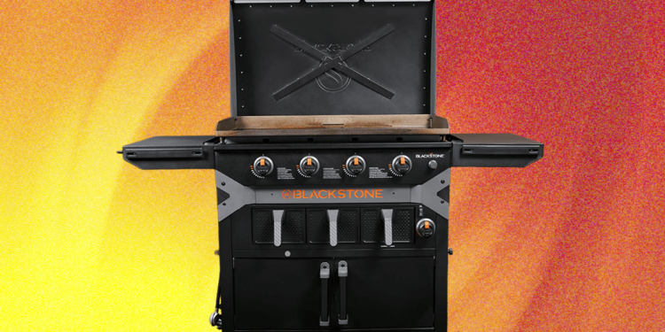 Blackstone Griddle Air Fryer Combo Review: Silly, but Nice