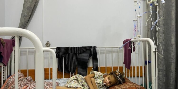 Children Are Starving in Gaza, as Soldiers Kill People Looking for Food