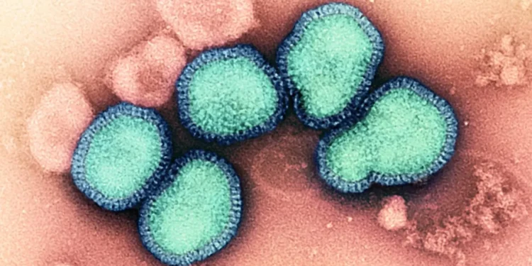 Cidara stock soars as antiviral drug succeeds in flu study