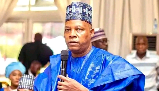 Climate change: Nigeria to plant 20bn trees – Shettima – EnviroNews