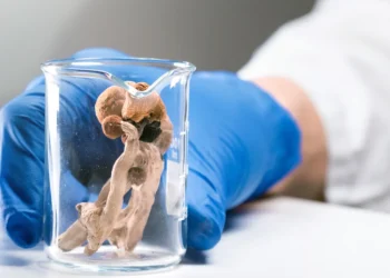 Compass’ big psychedelic study doesn’t impress investors