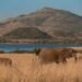 From Wildlife To Real Life: Pilanesberg Opens The Door
