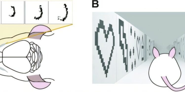 How artificial intelligence can learn from mice