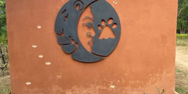 Islamic State Group Attacks Bring ‘New Reality’ to Mozambique Reserve