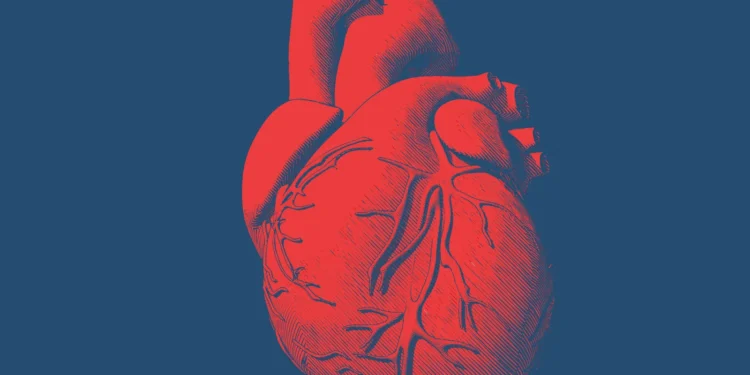 Lexeo to help launch spinout around RNA drugs for the heart