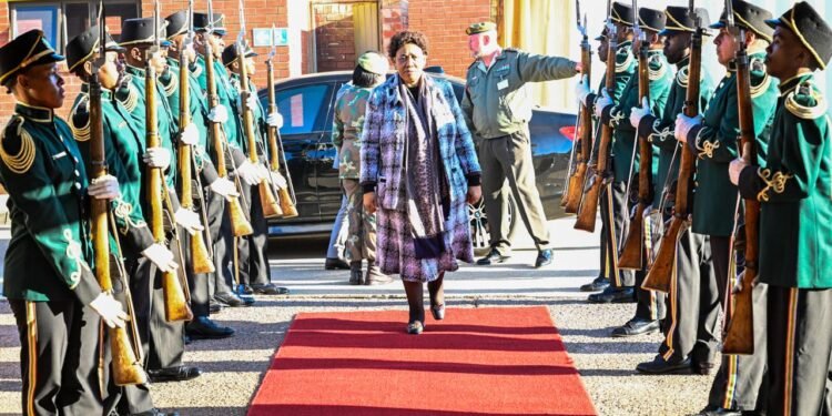 Motshekga makes time for defence calls while Acting President