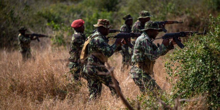 Mozambique Probes Claims of Army Atrocities Near Total