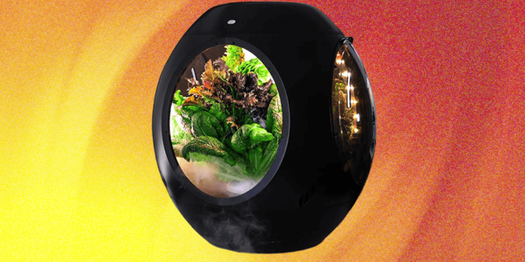 Plantaform Smart Indoor Garden Review: Rewarding but Risky