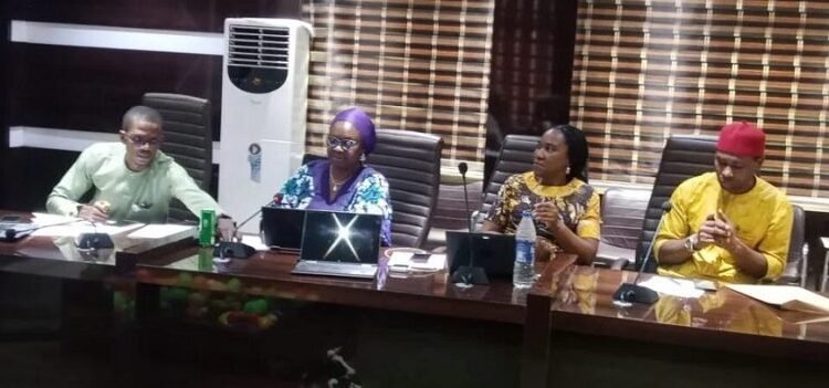 Researcher develops gender-responsive tool for climate change – EnviroNews