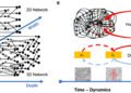 Researchers propose a more effective, human-like approach