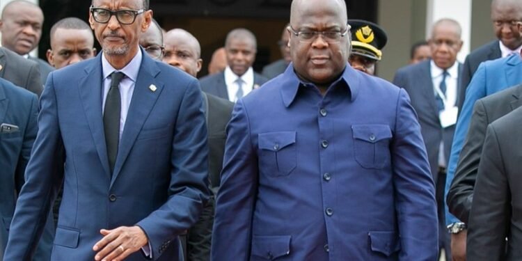 South Africa withdraws troops from DRC as first 249 soldiers return home