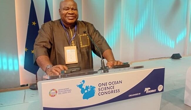 UN Ocean Conference: Group seeks African ocean literacy network – EnviroNews