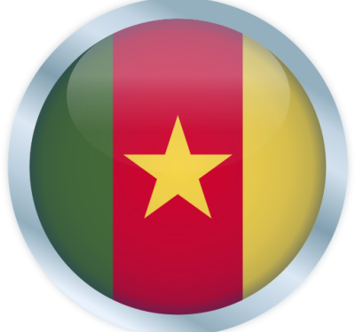 Une voix pour le changement dans le paysage politique camerounais