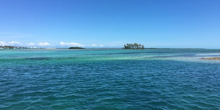 VJ Edgecombe Is The Bahamas’ Next Big NBA Star