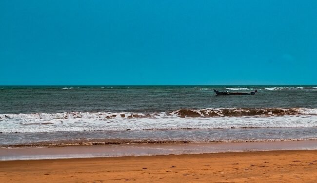 World Oceans Day: Our oceans our future – EnviroNews