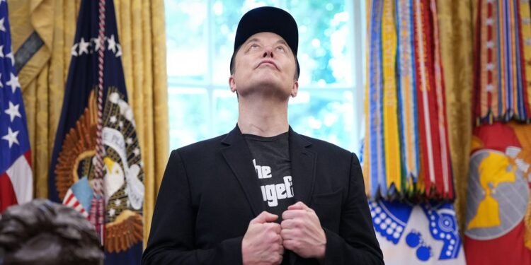 ‘100% Stupid’: MAGA World Is Cautiously Turning on Elon Musk